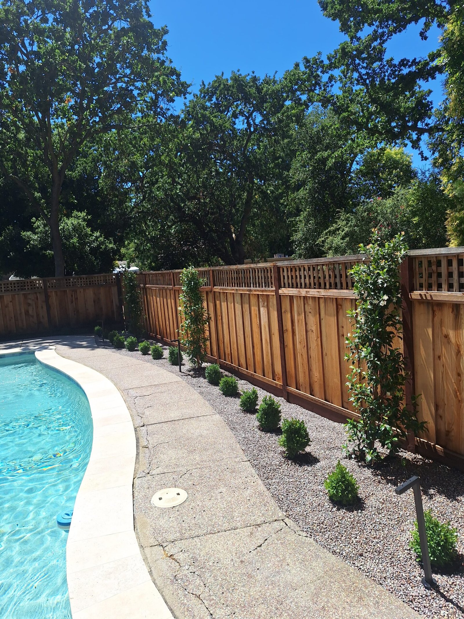 Garden care