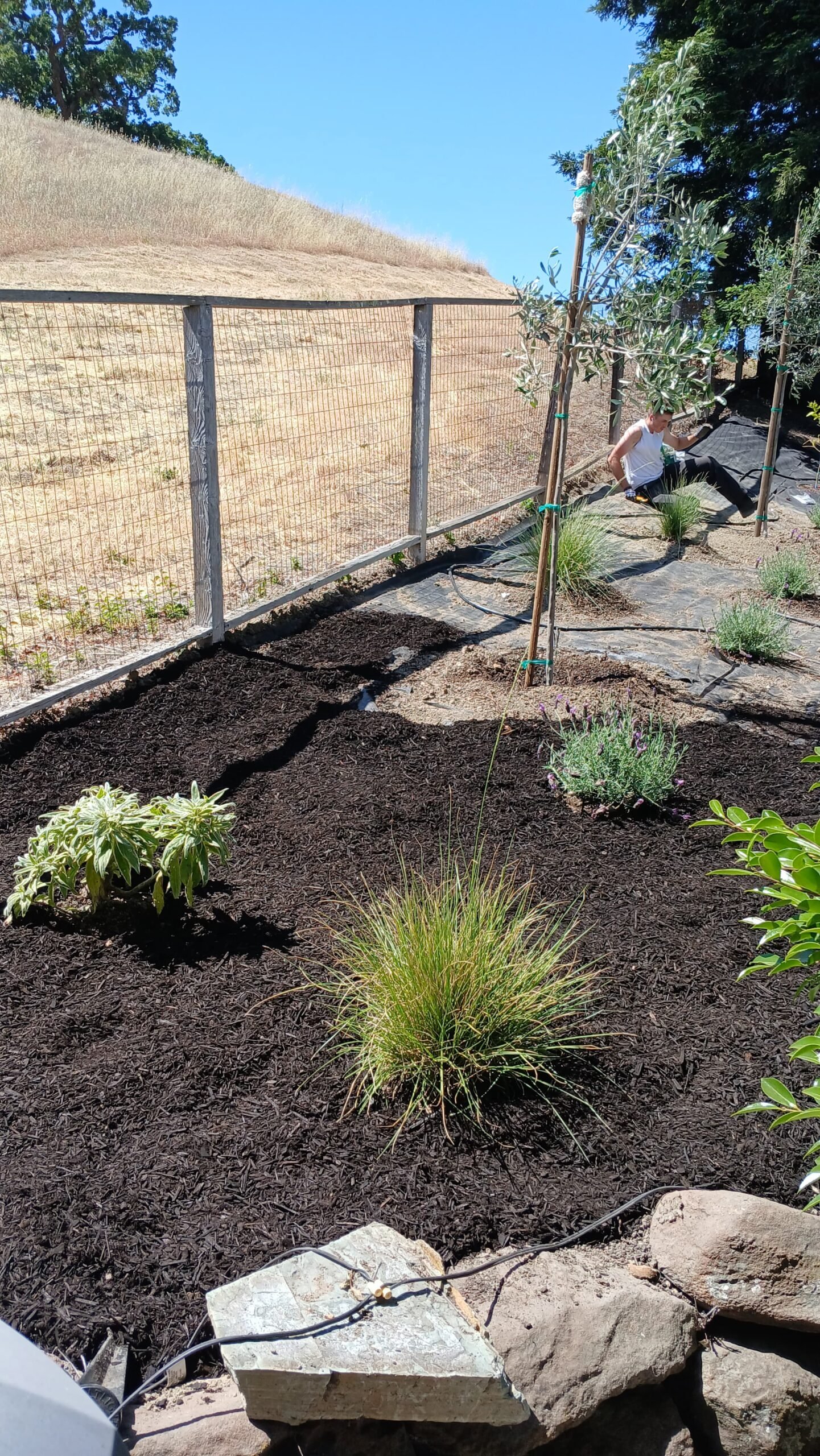 Custom yard work